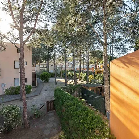 Apartment In Nearby Local Market
